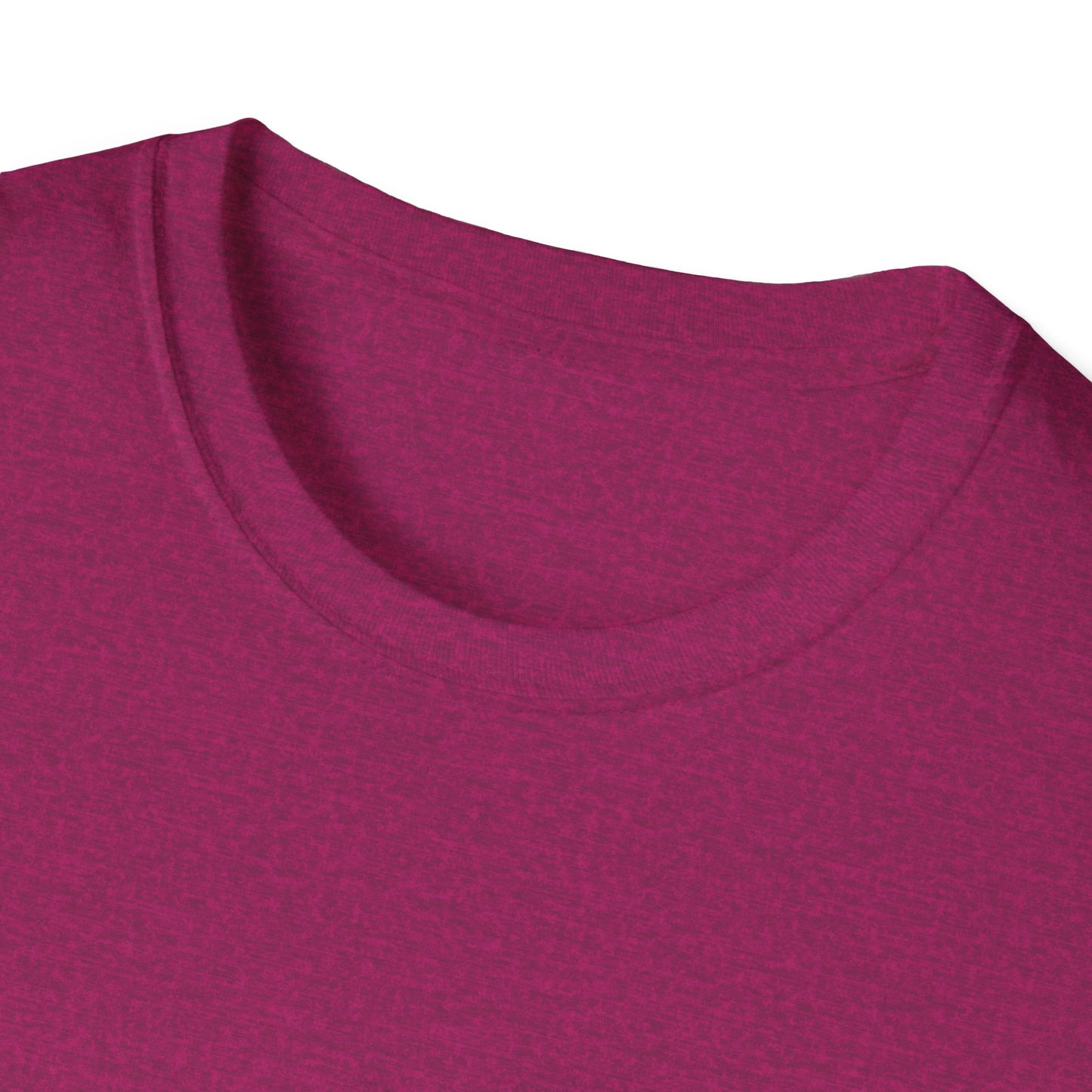 Retro Whimsy Unisex Softstyle T-Shirt